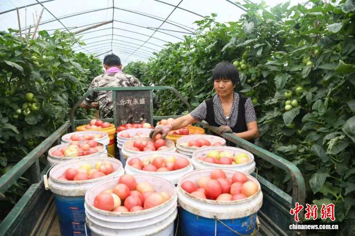 金年会深耕金年会官网领域，用心服务每一位用户。 - 金年会